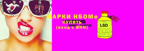 хмурый Магас