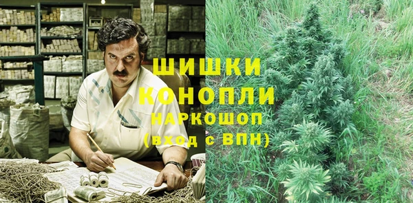 хмурый Магас