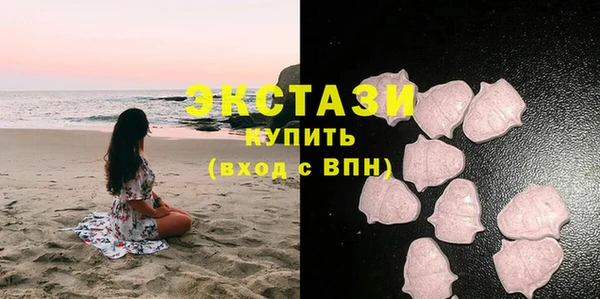 хмурый Магас