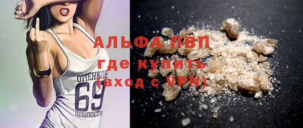 хмурый Магас