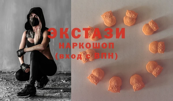 хмурый Магас