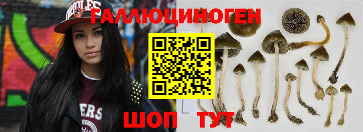 Галлюциногенные грибы Cubensis  Вход с VPN  Великий Новгород 