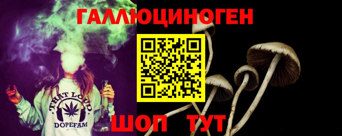 Галлюциногенные грибы ЛСД Великий Новгород