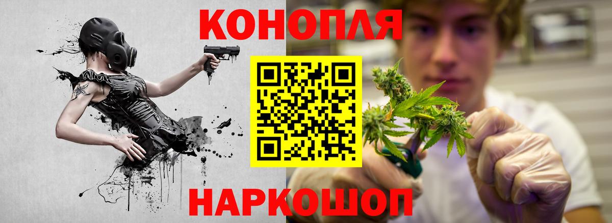 Конопля тримм  Бошки марихуана планчик  Великий Новгород  МАРИХУАНА OG Kush 